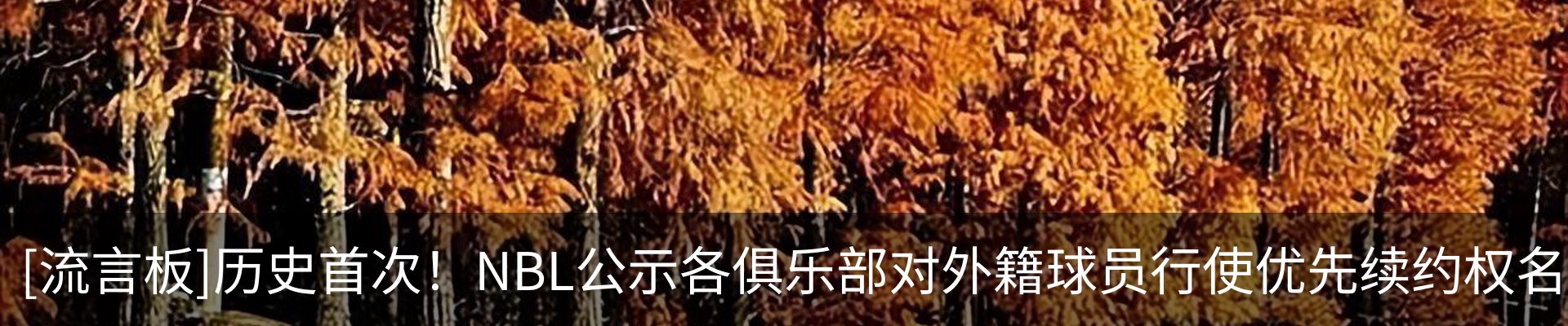 资讯动态
